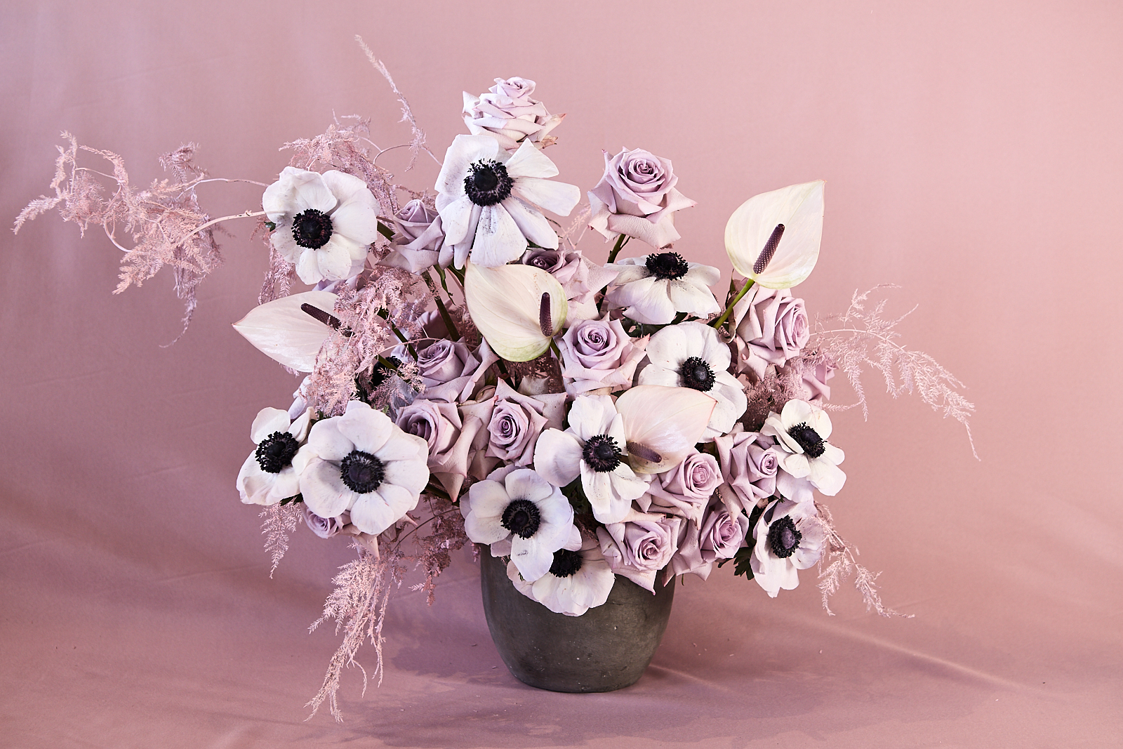 Main Home Page Image